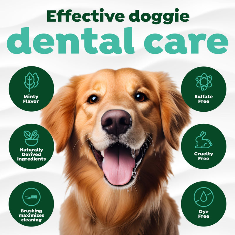 [Australia] - TropiClean Fresh Breath Dog Oral Care Kit | Complete Toothbrush and Toothpaste Set for Plaque & Tartar Control | Tooth Brushing Kit for Large Animals Large Dog Original Kit 