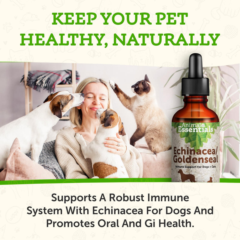 [Australia] - Animal Essentials Echinacea Goldenseal - Herbal Formula for Dogs and Cats, Immune Support, 100% Organic Herbs, Veterinarian Recommended - 1 Fl Oz 