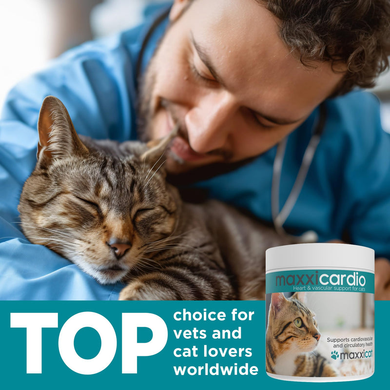 maxxicardio Heart & Cardiovascular Powder Supplement for Cats, 3.2oz - PawsPlanet Australia