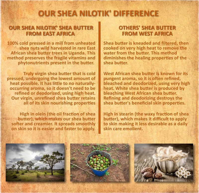 Shea Terra Organics - Cold-Pressed Virgin Shea Butter, Namibian Marula | Anti-aging marula moisturizer for dry skin, nails & hair. Softens & hydrates. Reduces the look of stretch marks & wrinkles. 6 Ounce (Pack of 1)
