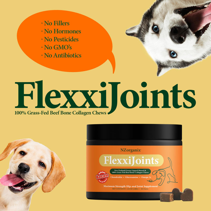 NZorganix FlexxiJoints Hip and Joint Supplement Chews for Dogs, Cats • 100% Grass-Fed Beef Bone Collagen New Zealand Green-Lipped Mussels • 50 Chews - PawsPlanet Australia