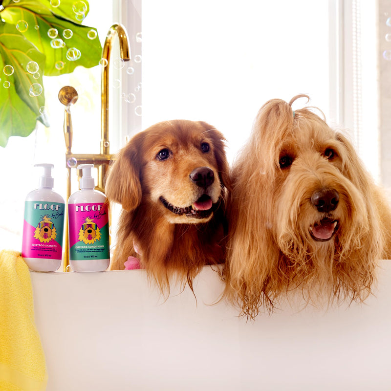 Everydog Nourishing Dog Conditioner for All Coat Types, Detangles, Made with Aloe, Oat Milk, Plant Based Emolients, No Sulfates, No Parabens (16 oz) - PawsPlanet Australia