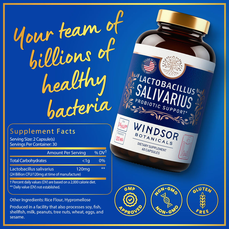 [Australia] - Lactobacillus Salivarius Probiotic - 24bn CFU L Salivarius Dental Probiotics for Teeth and Gums - Bad Breath Treatment for Adults, Immune Support, Digestive Health - 60 Oral Probiotic Capsules 60 Count (Pack of 1) 
