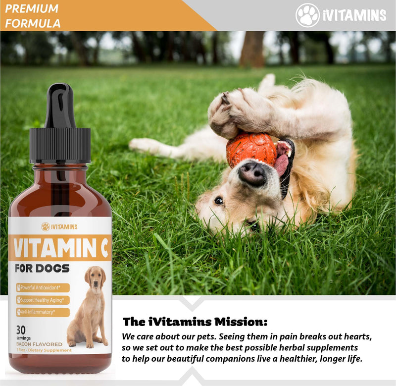 Vitamin C for Dogs | Helps with Improving Immune Health | Vitamin C for Dogs Liquid | Dog Immune Support | Dog Immune and Allergy Supplement | Dog Immune Booster | 1 oz Bacon Flavor - PawsPlanet Australia