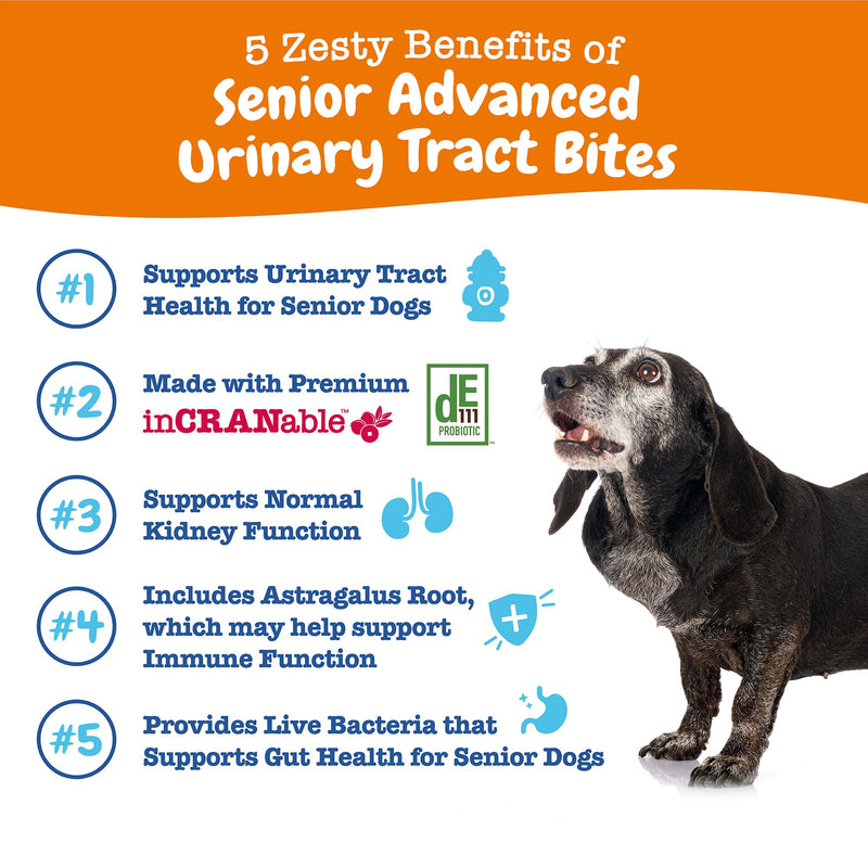Zesty Paws Senior Cranberry Supplement for Dogs - Bladder Control for Senior Dogs - Urinary Tract Support - Cranberry Chews - Immune & Gut Support - Chicken - 90 Count - PawsPlanet Australia