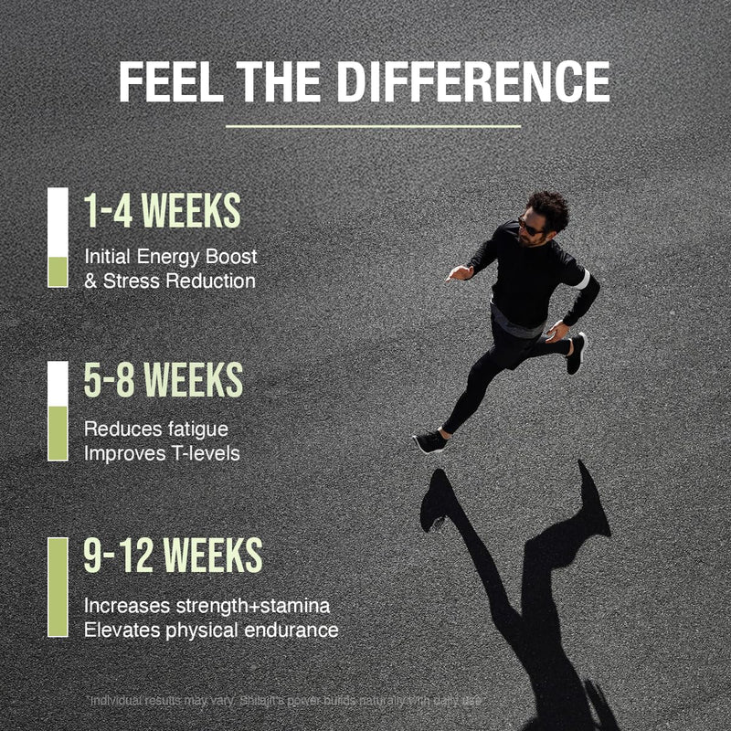 [Australia] - Himalayan Shilajit Resin ‚Äì 100% Pure & Potent | 70%+ Fulvic Acid, 80+ Trace Minerals | 80 Servings x 250mg | Lab Tested for Purity | Natural Energy, Stamina & Immune Support 0.71 Ounce (Pack of 1) 