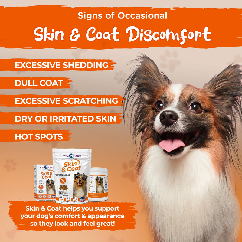 Vital Planet - Skin and Coat Supplement for Dogs with Choline, Inositol, Pumpkin, Flax and Omega-3 Oils to Support a Soft Shiny Healthy Coat and for Seasonal Allergies - 60 Chewable Tablets - PawsPlanet Australia