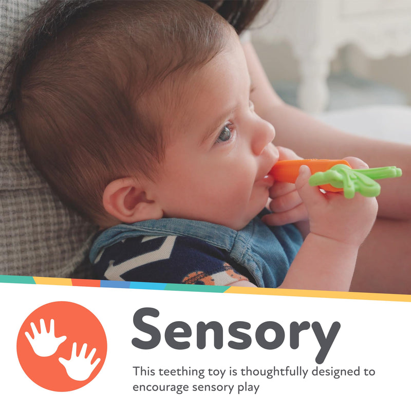 [Australia] - Nuby Silicone Carrot Tube Teether - Baby Teething Toy - Massaging Bristles for Sore Gums - 3+ Months 