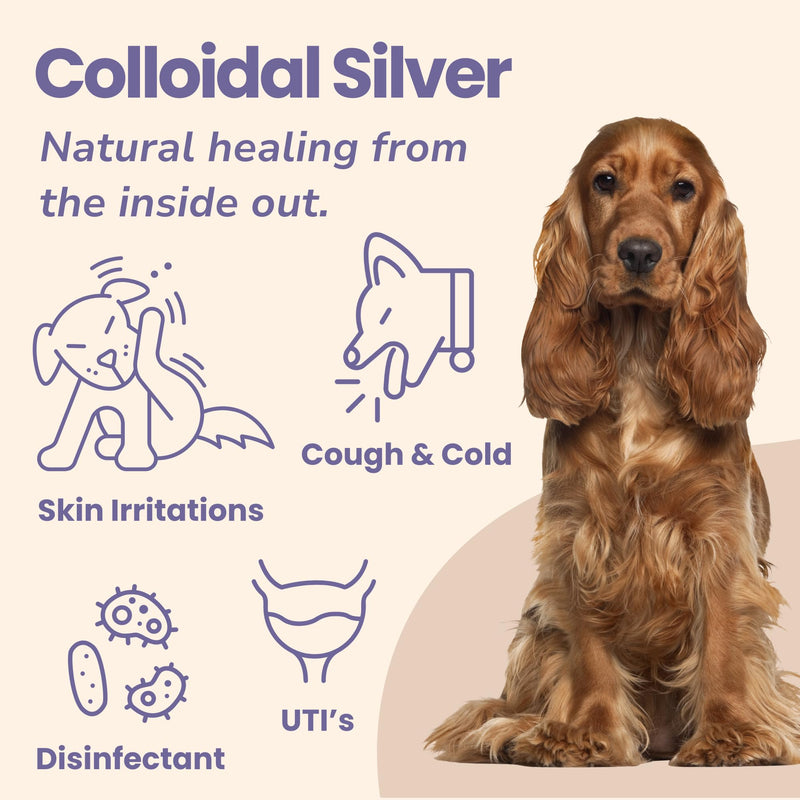 Glacier Peak Holistics Colloidal Silver - Natural Antibiotic Spray for Dogs & Cats, Holistic Remedy for Internal & External Use, Anti-Itch, Wound Healing, and Skin Irritation in Pets - 2oz - PawsPlanet Australia