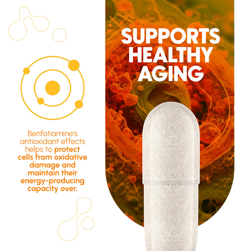 Benfotiamine 300mg - Benfotiamine b1-180 Capsules (3 Months Supply) - Vegan, Non-GMO, Gluten-Free | Vitamin B1 (Thiamine) Derivative · Vegan · Gluten Free · Non-GMO · 3 Month Supply · Independently 3rd Party Tested