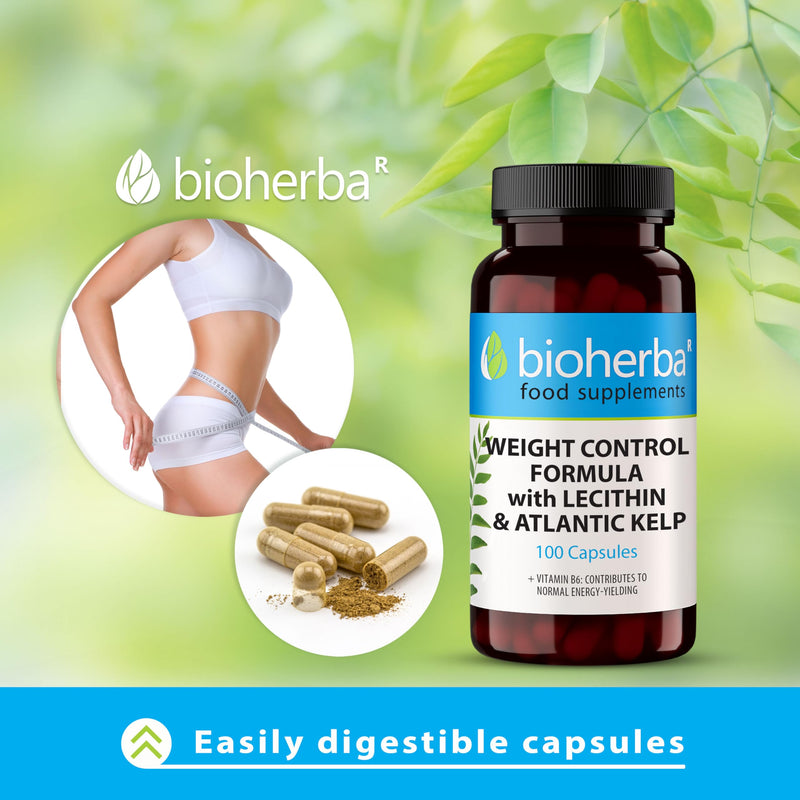 Lecithin 4-in-1 Complex – 100 Capsules | with Alfalfa, Apple Cider Vinegar, Kelp & Vitamin B6 – by BIOHERBA