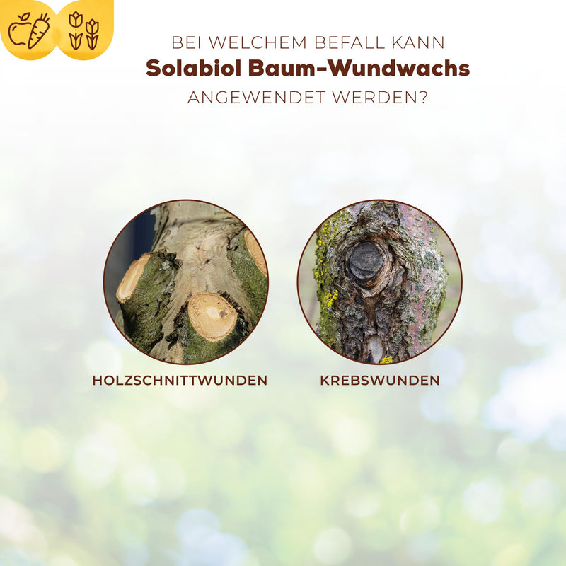 [Australia] - Solabiol tree wound wax, ready-to-use wound closure agent for fruit trees and ornamental trees, 300g brush tube, ready to use 