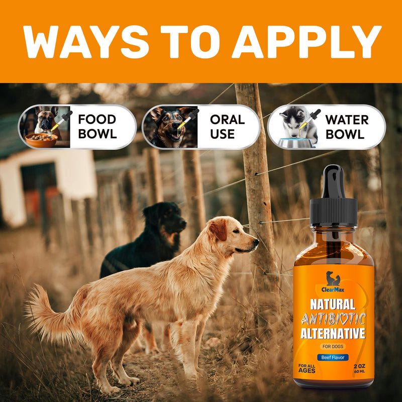 Natural Antibiotics for Dogs for Allergies, Infections, Coughs, Digestive Moments – Dog Antibiotics with Beef Flavor May Support Urination and Breathing – Organic Composition with Cranberry – 2 Oz - PawsPlanet Australia