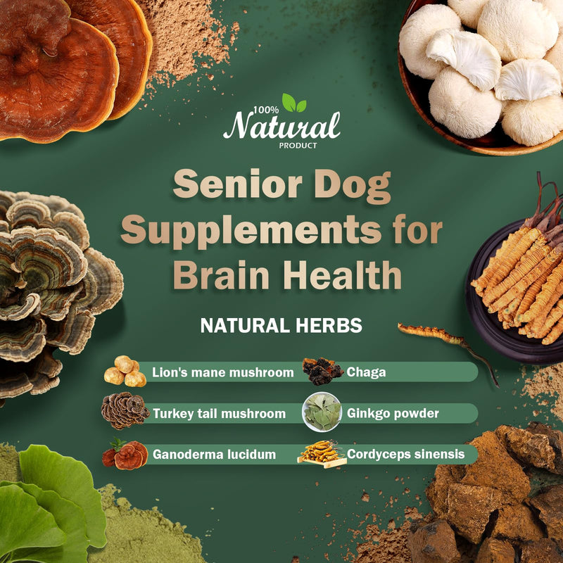 Senior Dog Supplements Dog Dementia Supplement Mushroom Powder for Dogs 120g | Cognitive Supplement for Dogs Addresses Getting Lost, Social Withdrawal | Canine Cognitive Dysfunction - PawsPlanet Australia