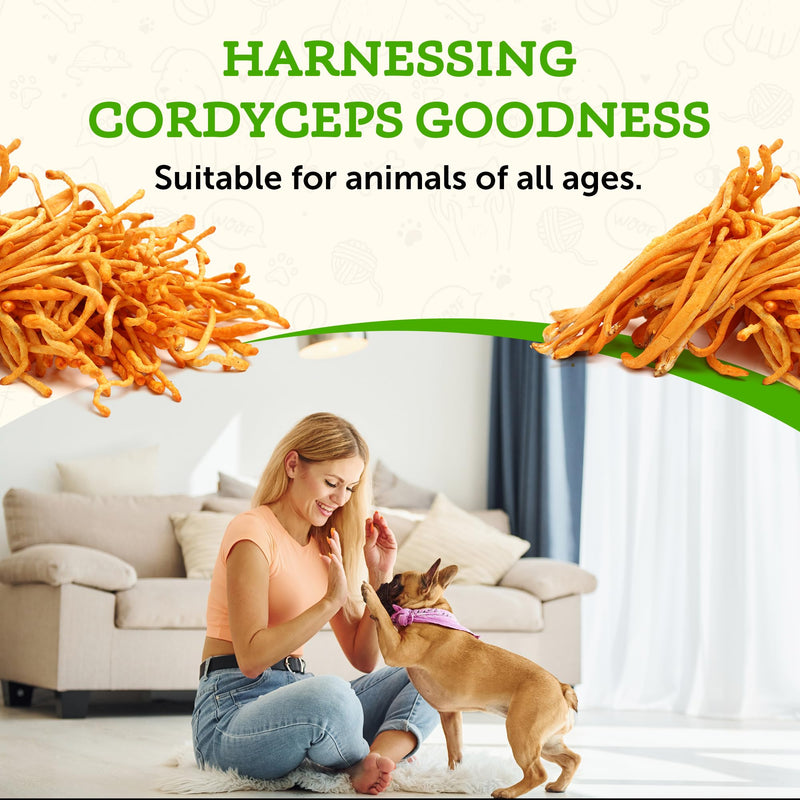 Animal Essentials Energy Cordyceps Mushroom Supplement for Dogs & Cats - Support Stamina & Endurance, Healthy Respiratory & Kidney Functions, Antioxidant, Mushroom Powder Extract - 2.8 Oz (Pack of 1) - PawsPlanet Australia