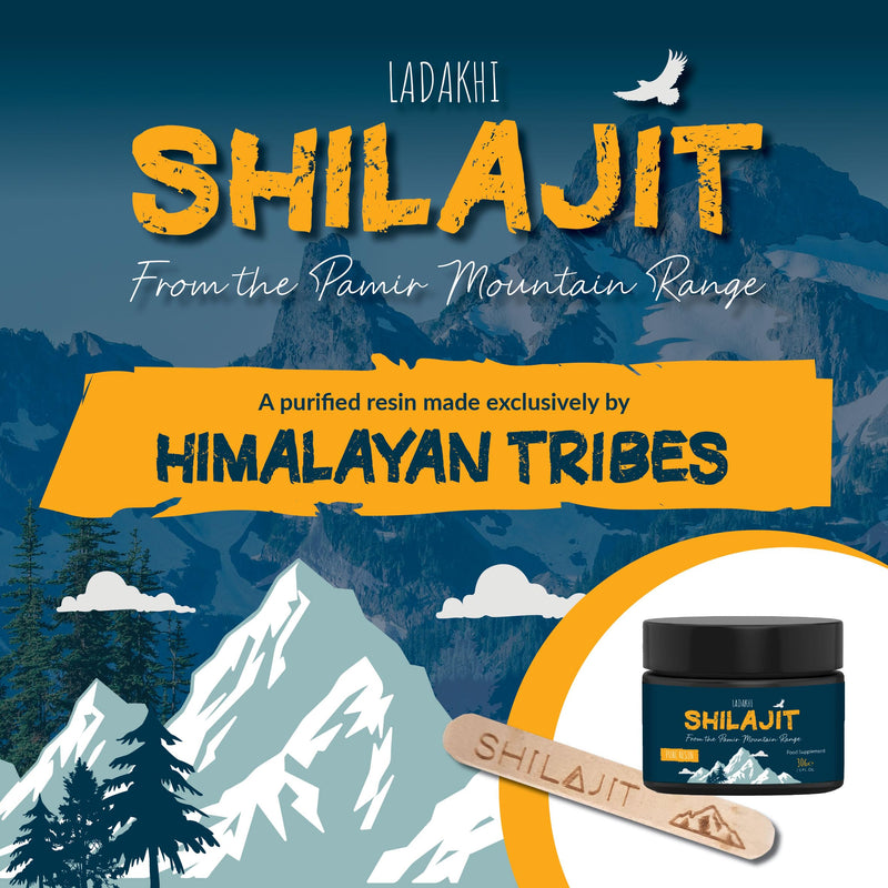 Shilajit Resin from The Pamir Mountain Range/Pure Stong Shilajit Resin Rich with Minerals and Fulvic Acid to Boost The Immune System / 100% Pure Himalayan Shilajit