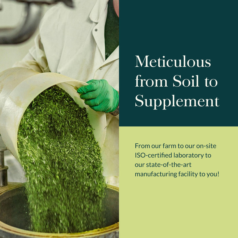 [Australia] - Gaia Herbs Gut Revival - Herbal Digestive Supplement to Support Gut Health - Made with Astragalus, Gotu Kola, Jujube & More - Free from Dairy, Soy & Gluten - 60 Vegan Capsules (60 Servings) 