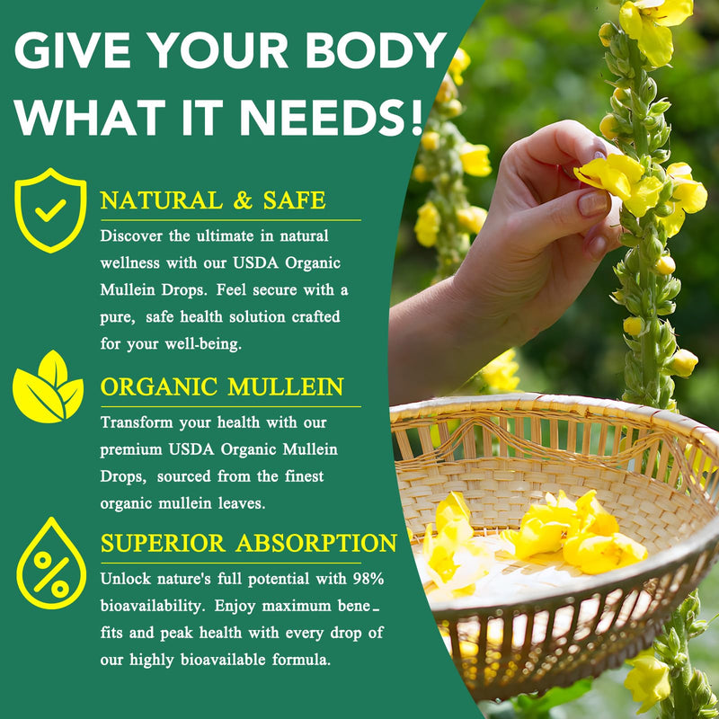 [Australia] - Mullein Drops for Lungs, Natural Mullein Leaf Extract, Mullein and Chlorophyll Drops for Lungs, Breathing Support Supplement (2 Fl Oz/1Pack) 2 Fl Oz (Pack of 1) 