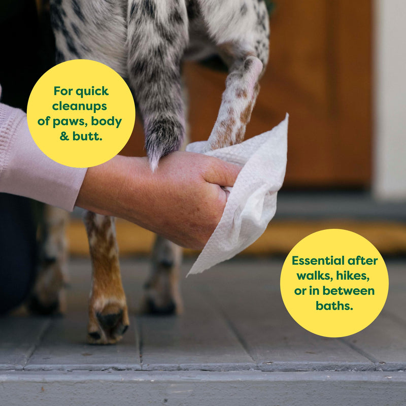 Earth Rated Ear Wipes & Grooming Wipes Bundle - Includes 70 Fragrance-Free Pet Ear Wipes and 100 Lavender-Scented Grooming Wipes. - PawsPlanet Australia