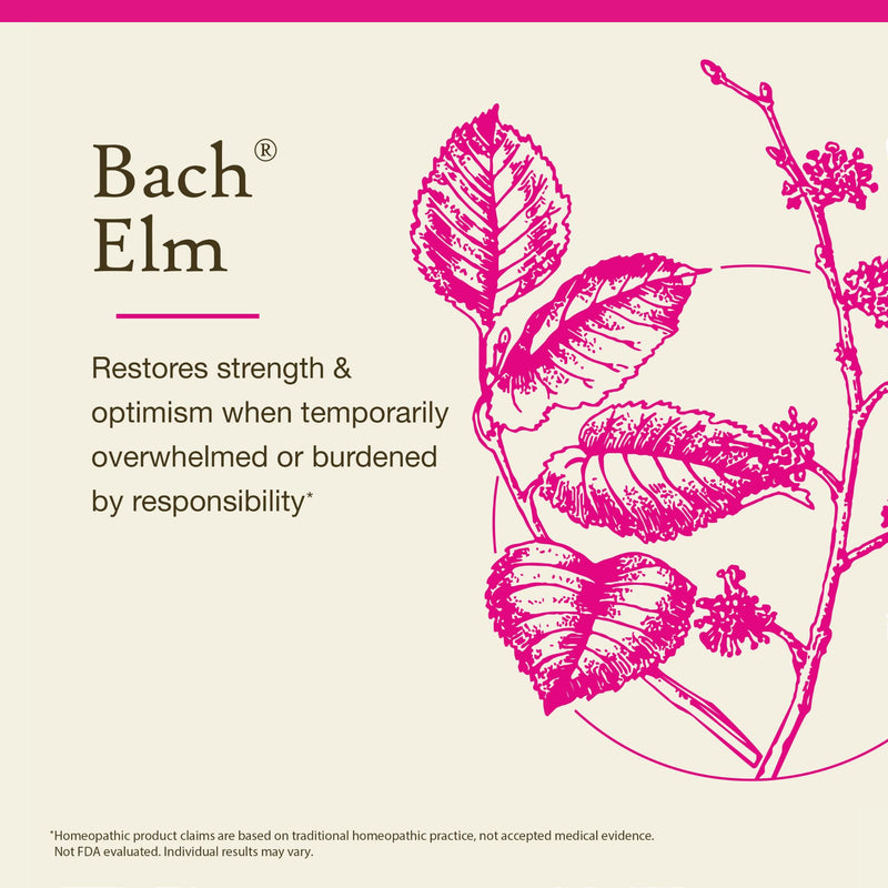 [Australia] - Bach Original Flower Remedies, Elm - Be Efficient - Natural Homeopathic Flower Essence for Emotional Balance - Vegan, Gluten Free, Sugar Free - 20mL Dropper 