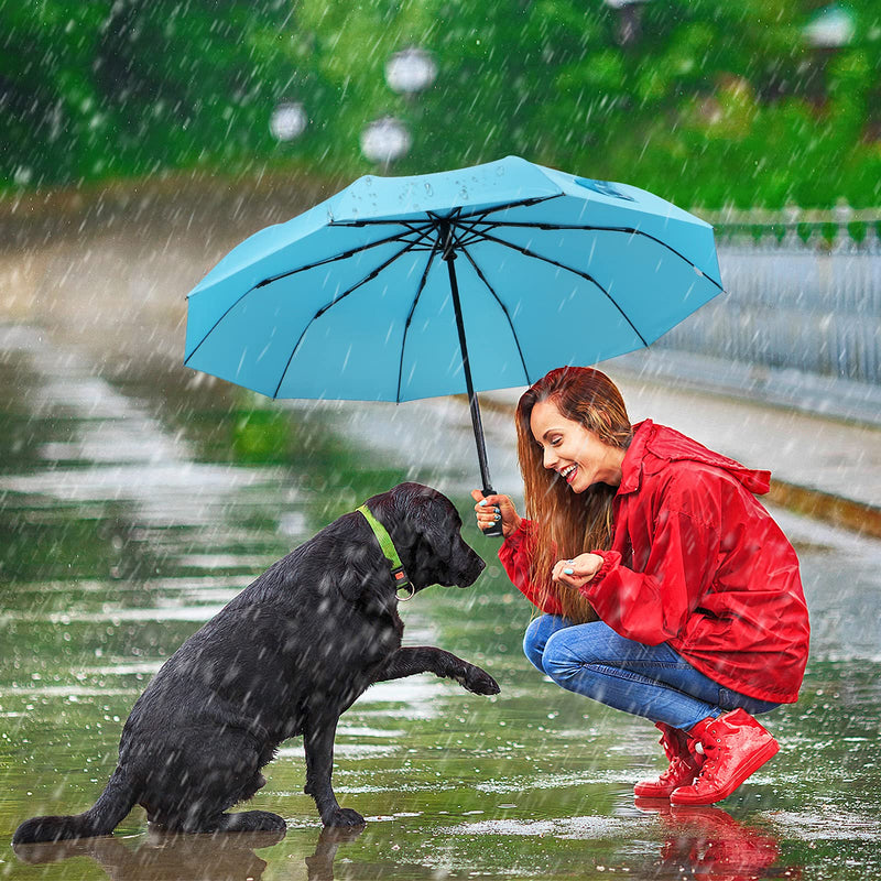 ZOMAKE Travel Umbrella Compact - 10 Ribs Portable Collapsible Umbrellas for Rain Windproof - Paraguas Automatic Small Folding Umbrella Lightweight Packable Umbrella for Women Men - Purple&Light Blue