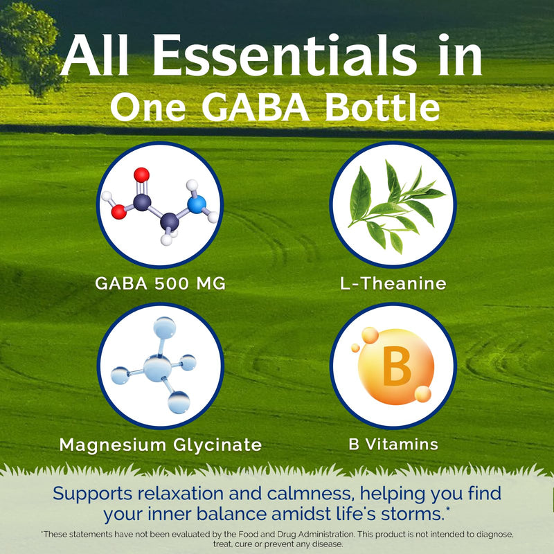Innate Vitality GABA Supplements, L-Theanine, Magnesium Glycinate, B Complex, Vitamin B6, Vegan, Non-GMO, for Calm, Focus, Relaxation, 120 Capsules