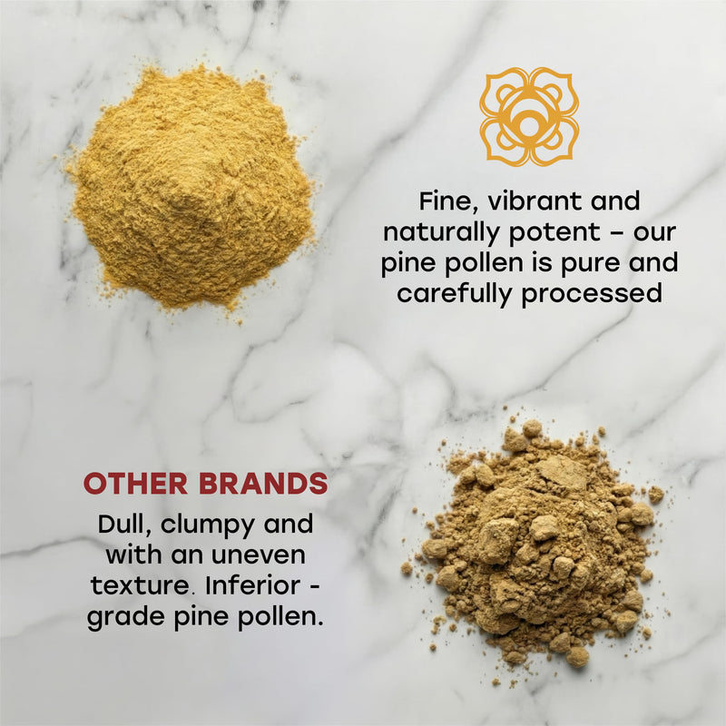 Pine Pollen (100g) - Wild Harvested Natural Pine Pollen - Energy and Vitality Tonic - Muscle Growth - Pineal Gland Supplement