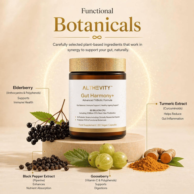 Gut Harmony+ Probiotics for Women & Men with Prebiotics & Postbiotics for Gut Health - 60 Billion CFU, Advanced TriBiotic Formula with Microencapsulation Technology - One Capsule daily - 60 Day Supply