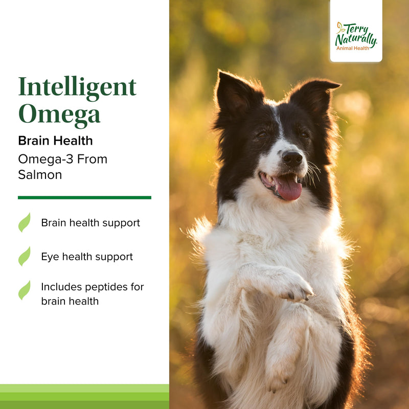 Terry Naturally Animal Health Intelligent Omega - 60 Soft Chews - Omega 3 from Salmon for Dogs - Promotes Brain & Eye Health - 60 Servings - PawsPlanet Australia