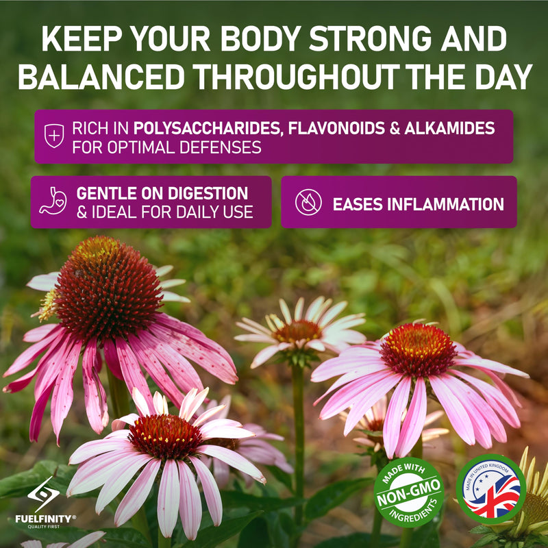 Premium UK Echinacea Whole Plant Extract Tablets 240 Tablets of Maximum Strength 4000mg | Double Extraction for Advanced Immune Support, Non-GMO, Vegan and Made in the UK