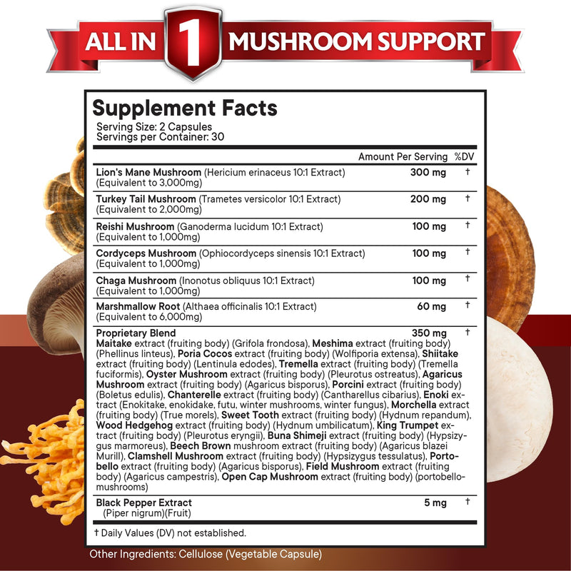 NEW AGE Lions Mane 3000mg 20in1 Mushroom Supplement with Turkey Tail 2000mg Reishi 1000mg Cordyceps Chaga 1000mg with Marshmallow Root 120 Count 120 Capsules (Pack of 2)