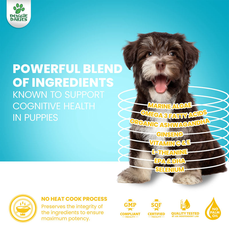 Doggie Dailies Cognitive Puppy Chews | Puppy Vitamins with DHA, Selenium, Organic Ashwagandha & Antioxidants to Support Brain Health, Nervous System Function & Promote Calmness | 120 Soft Chews - PawsPlanet Australia