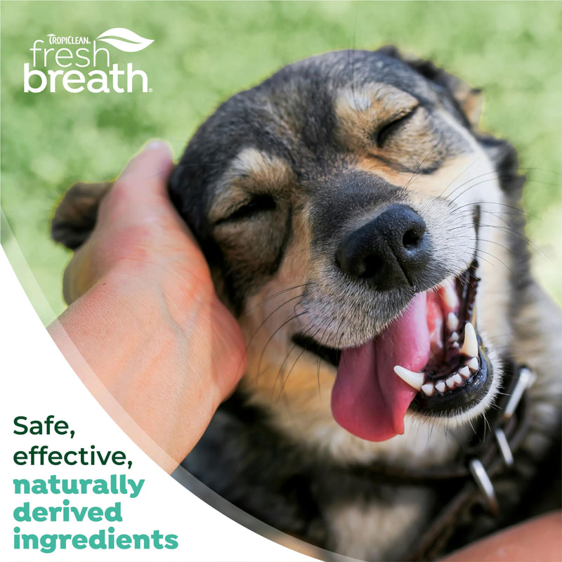 TropiClean Fresh Breath No Brush Total Care Kit | Dog Dental Hygiene| Dog Teeth Cleaning Made Easy | Water Additive No Brushing Toothpaste for Dogs - PawsPlanet Australia