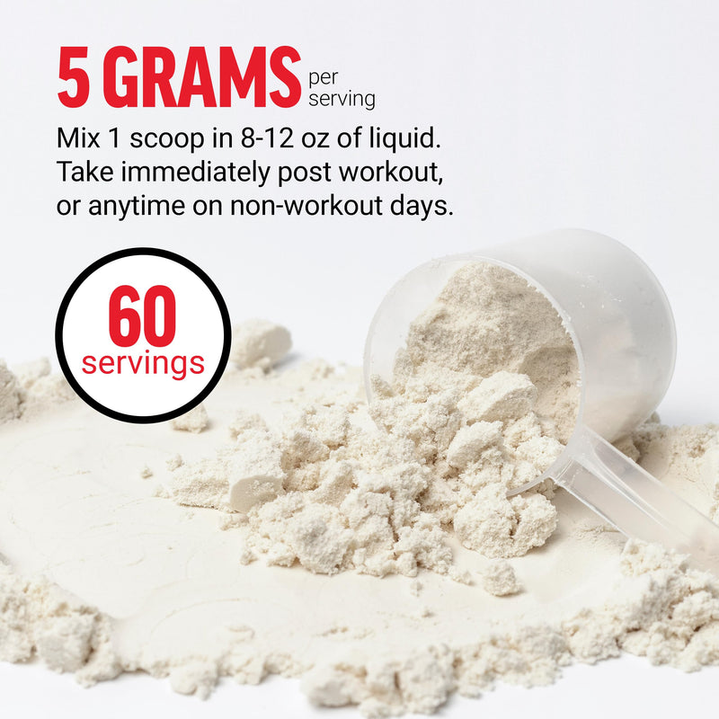 [Australia] - FORCE FACTOR Creatine Monohydrate, Creatine Powder for Muscle Gain, More Strength, and Faster Workout Recovery, Clinically Studied Micronized Creatine 5g Dose Per Serving, Unflavored, 60 Servings 60 Servings (Pack of 1) 