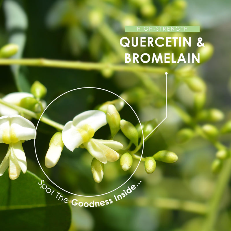 Plant-Based Quercetin 800mg & Bromelain 396 GDU with BioPerine® - 120 Vegan Capsules – Made from Sophora Japonica Extract & Pineapple – by Alpha01 1 count (Pack of 120)