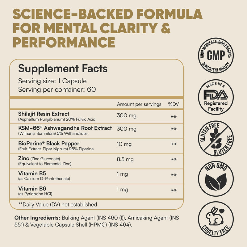 Ignite Energy & Performance Supplement | Natural Energy Booster with Himalayan Shilajit, KSM66 Ashwagandha & Zinc | Stamina, Muscle Recovery & Endurance Support | 60 Veg Capsules