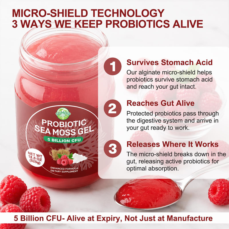Sea Moss Gel with 5B CFU Probiotic for Digestive Support Raspberry 18.5oz | Irish Wildcrafted Seamoss Gel Raw Rich In Vitamins & Minerals Vegan Non-Gmo Gluten-Free 18.5 Fl Oz (Pack of 1)