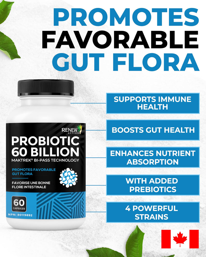 Renew Actives Probiotic Supplement for Digestive Health 60 Billion CFU per 2 Capsules - Advanced Formula with Prebiotic Benefits - Supports Gut Flora Balance & Wellness - Made in Canada - 60 Capsules