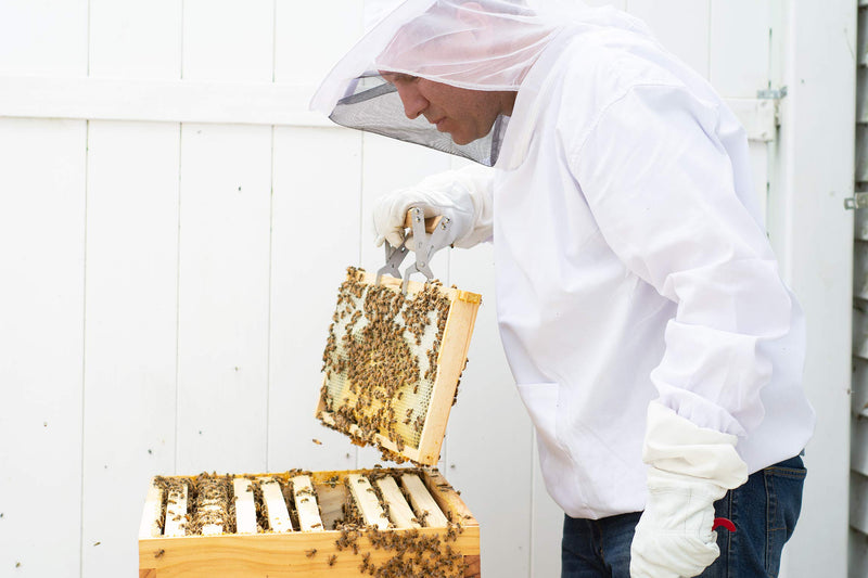 [Australia] - VIVO Professional White Extra Large Beekeeping Suit, Jacket, Pull Over, Smock with Veil BEE-V105XL X-Large - Jacket 