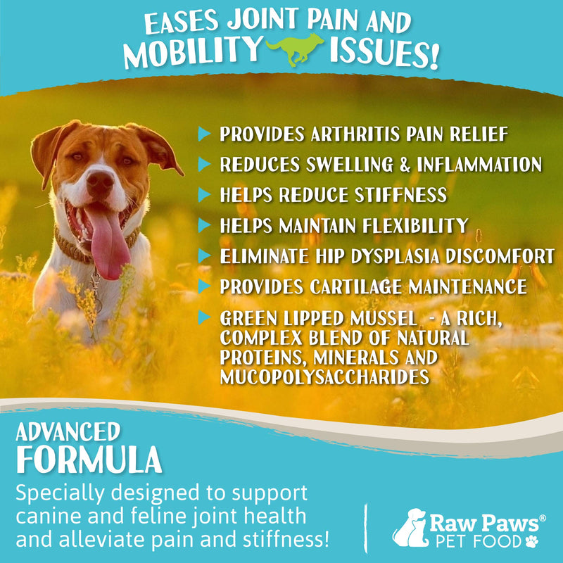 Raw Paws Green Lipped Mussel Hip and Joint Supplement for Dogs & Cats, 10-oz Powder - Green Lipped Mussels for Dogs - Natural Chondroitin Glucosamine for Dogs & Cats - Dog Joint Pain Relief for Dogs - PawsPlanet Australia