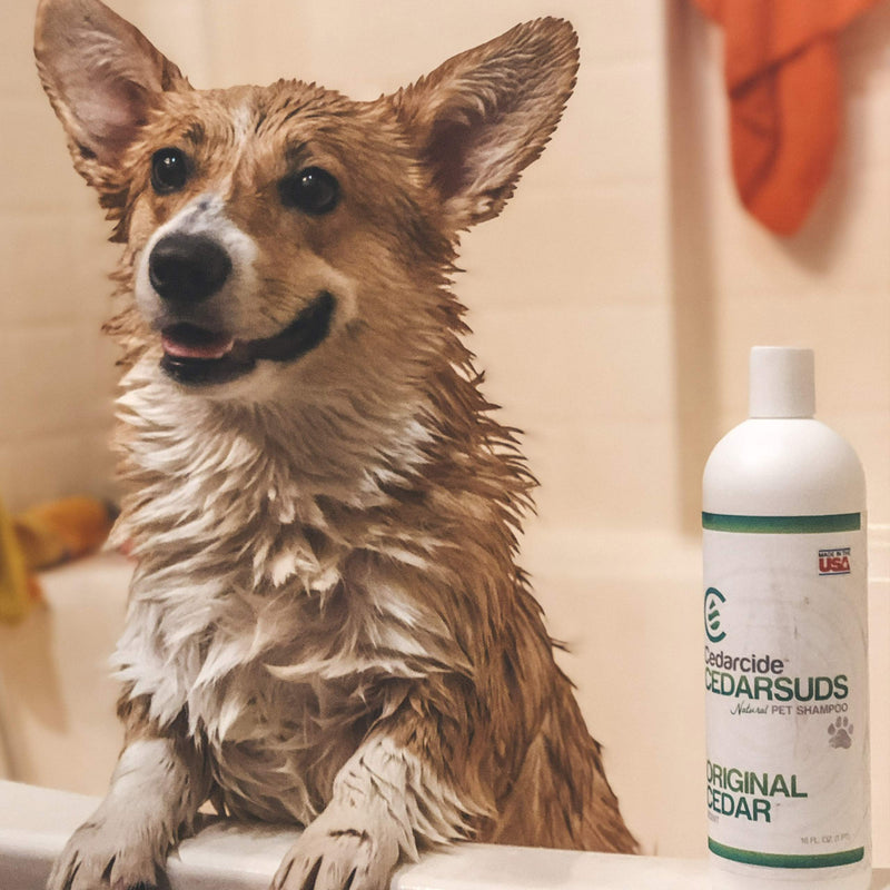 Cedar Suds Pet Shampoo Original Cedar Scent (Pint (16oz)) - PawsPlanet Australia