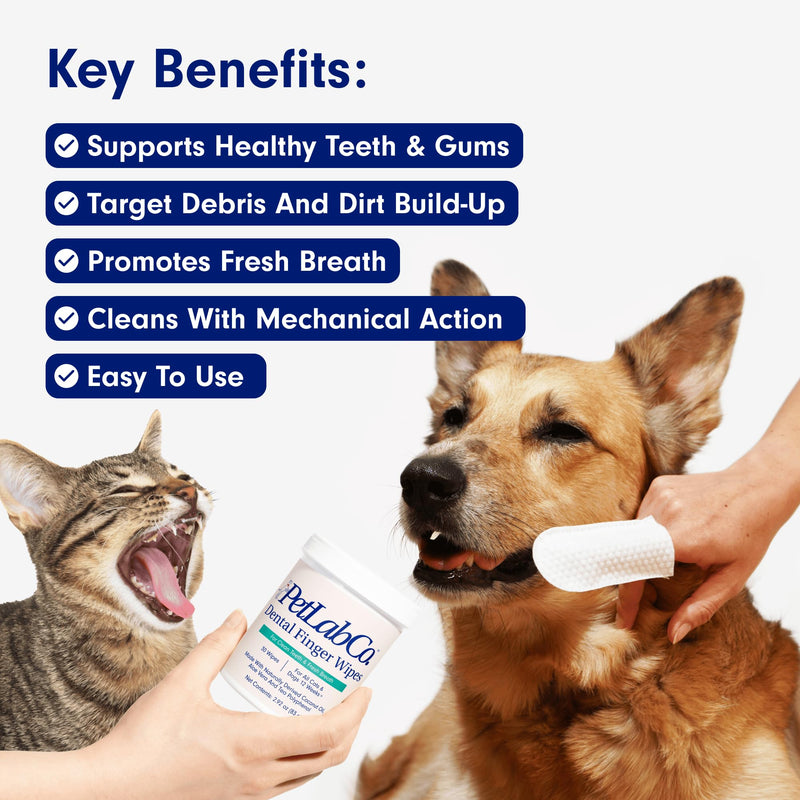 PetLab Co. Dental Finger Wipes - Easy to Use Dog & Cat Teeth Cleaner - Freshens Breath & Provides A Thorough Clean – Supports Overall Oral Hygiene – Alcohol & Fragrance Free - PawsPlanet Australia