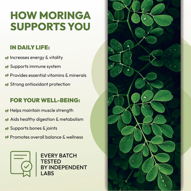 Organic Moringa Leaf Capsules 1000mg – Pure & Natural Moringa Powder – Daily Plant-Based Nutrition Support with Vitamins & Minerals – Non-GMO, Gluten-Free – 90 Capsules, USA Made, Third-Party Tested
