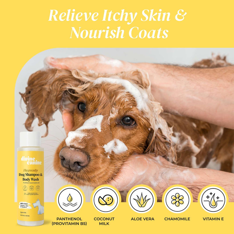 Heavenly Dog Shampoo & Body Wash - Anti-Itch - Dog Shampoos - pH Balanced Conditioning Dog Bath Blend with Collagen, Aloe, Coconut Milk, Vitamin E - Soothe Itchy Skin & Coat - 13.5oz - PawsPlanet Australia