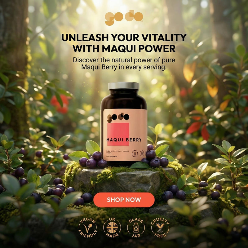 Maqui Berry Tablets 1000mg 360 Tablets | Suitable for Vegan | Health & Wellbeing | Pure Maqui Berry Extract 360 count (Pack of 1)