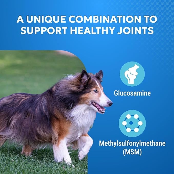 Nutramax Cosequin Standard Strength Joint Health Supplement for Dogs, with Glucosamine and MSM, 75 Chewable Tablets (Pack of 2) 75Count (Pack of 2)