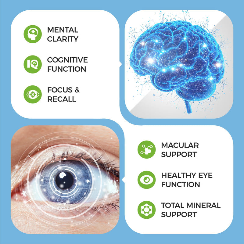 Eye Brain Supplement for Memory and Focus 14 in 1 Eye Vitamins 120 Capsules | Dry Eye Relief, 40mg Lutein, Zeaxanthin, Bilberry, Ginkgo Biloba, Bacopa Monnieri, Lion's Mane, Eye Care for Adults & Seniors 120 Count (Pack of 1)