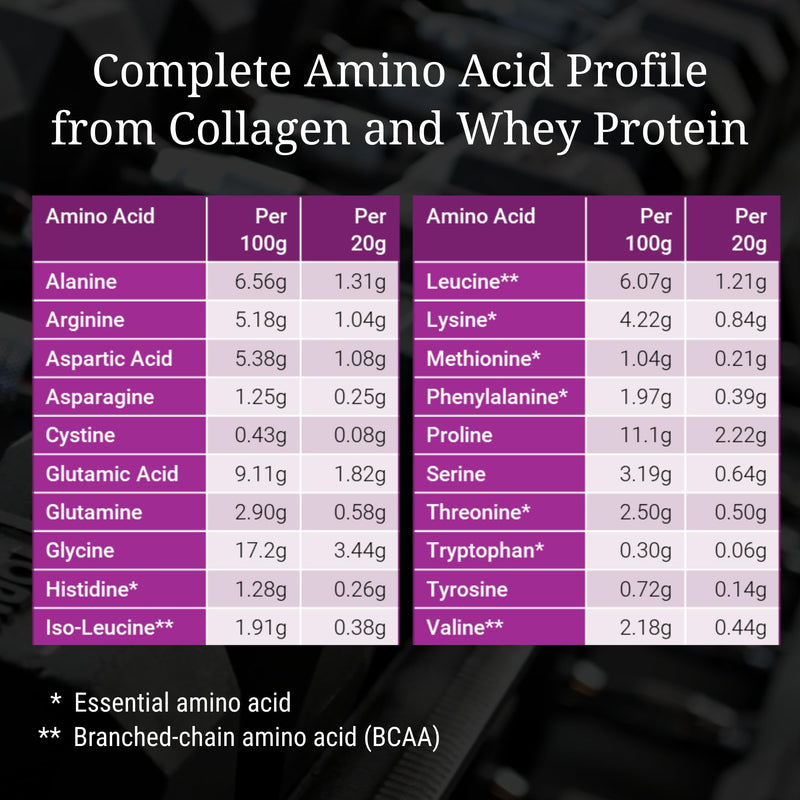 Protein Powder for Women, Collagen-Based Blend for Strength and Beauty with Creatine, Calcium, Magnesium and Biotin | 18g Protein Per Scoop, 400g Pouch (20 Scoops), Soy-Free & Sugar-Free