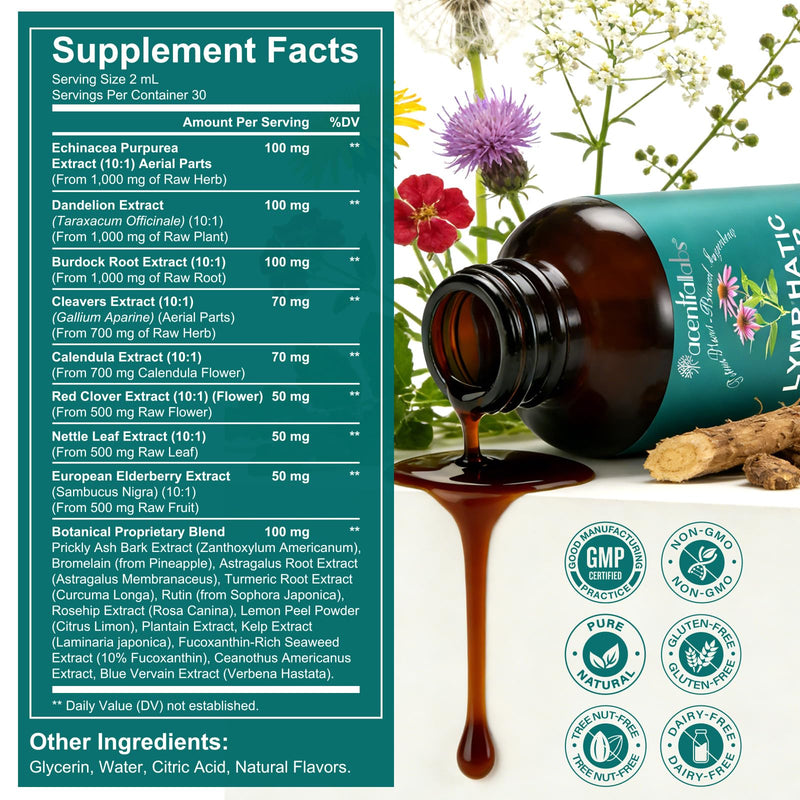 Lymphatic Drainage Drops, Support Supplement, 2 FL OZ - Natural Lymphatic Cleanse & Immune Support