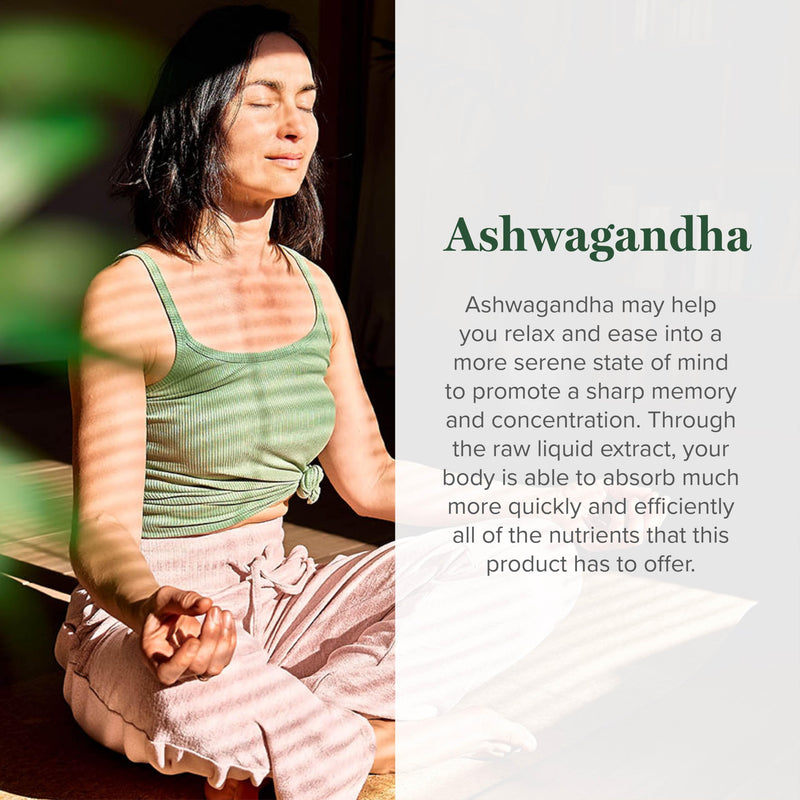 [Australia] - Global Healing Organic Ashwagandha Supplement Drops - KSM-66 Ashwagandha Extra Strength for Men & Women - Helps Promote Relief from Stress, Ashwagandha Complex, Ashwagandha Tincture Organic (2 Fl Oz) 